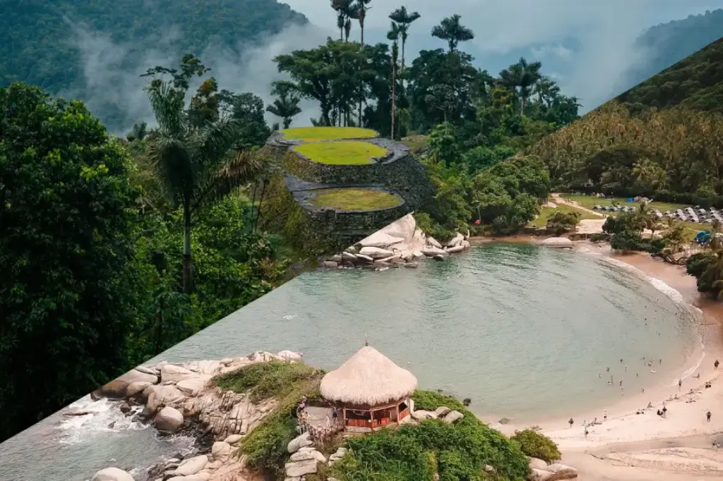 europa-5 brown squirrel on black background