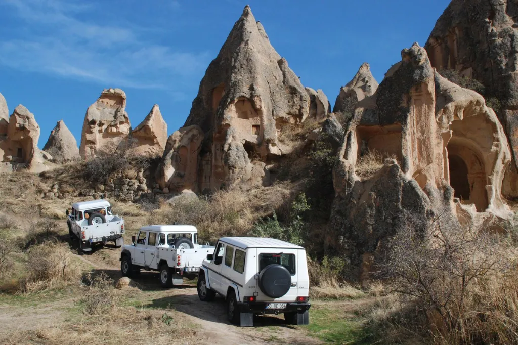 europa-7 brown squirrel eating nuts