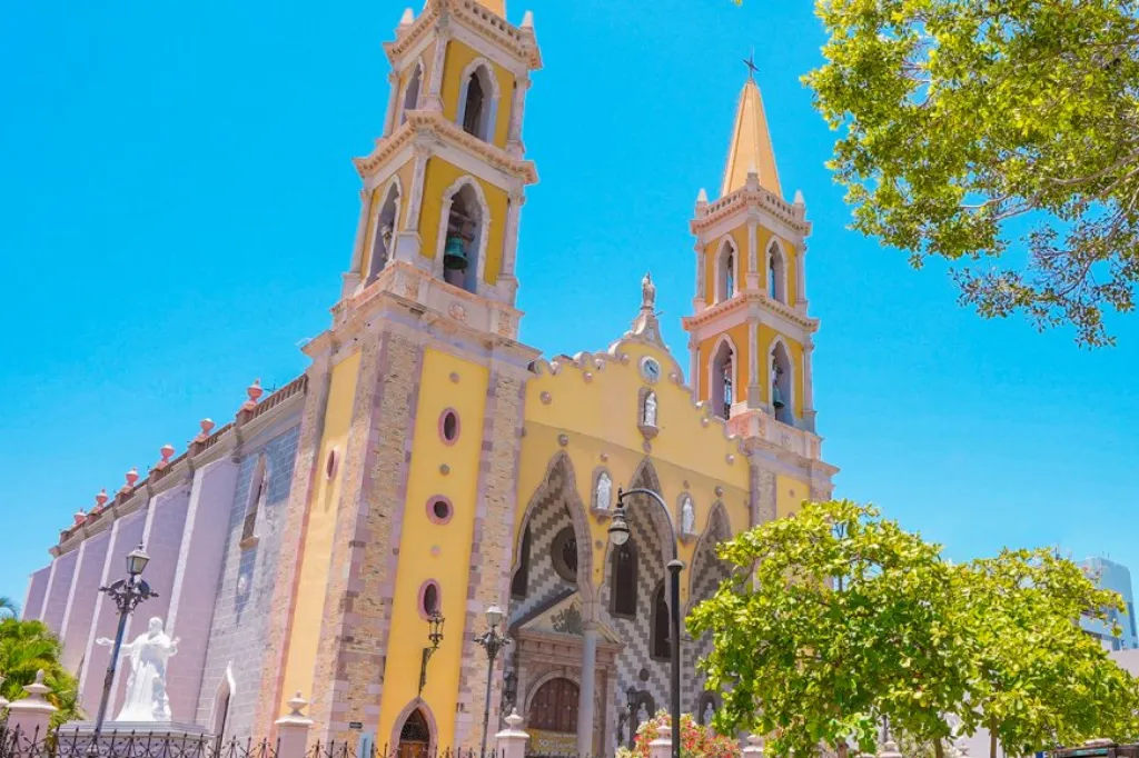 maza-3 orange tiger on grey concrete flooring