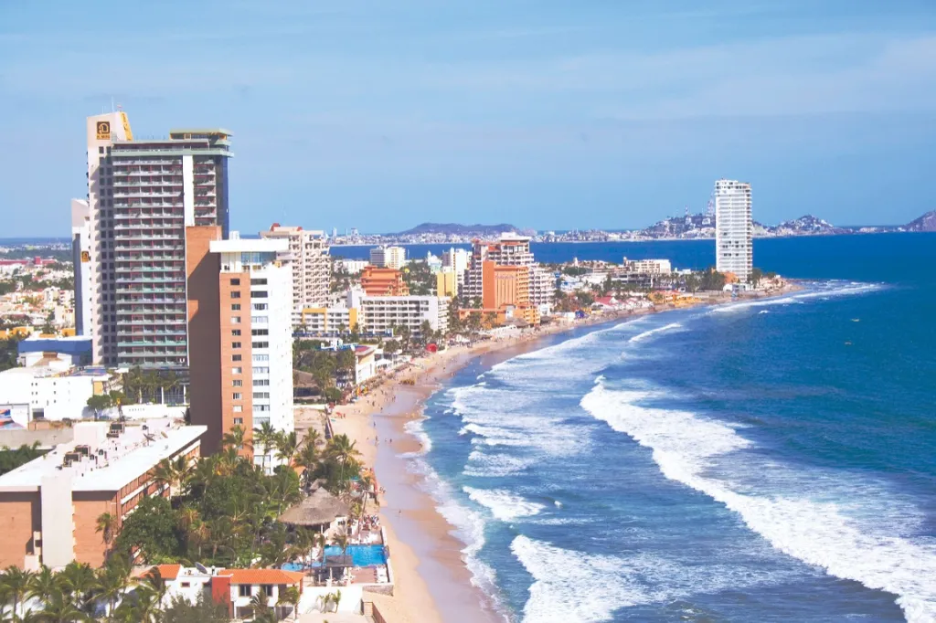 maza-5 brown squirrel on black background